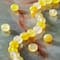 Yellow Faceted Agate Coin Beads by Bead Landing&#x2122;
